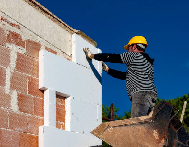 Best Specialized Insulation Services in West Ishpeng, MI